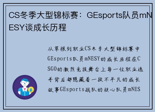CS冬季大型锦标赛：GEsports队员mNESY谈成长历程
