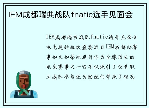 IEM成都瑞典战队fnatic选手见面会